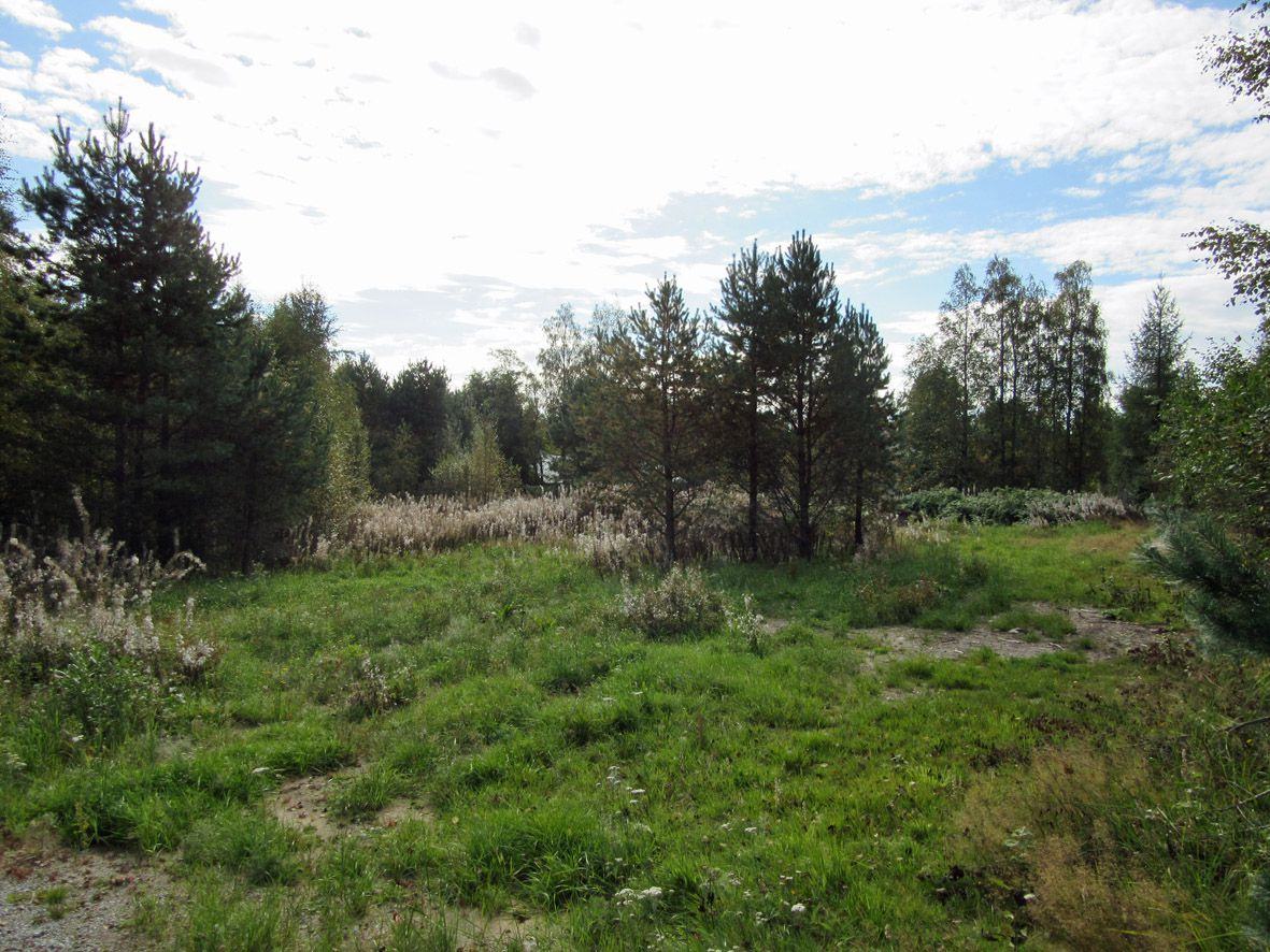 9 Kuva 4. Kirkkotien varrella kaavan länsireunalla on peltoaitoja. Kuva 5. Alueen länsiosa on metsittymässä olevaa peltoa. 4. Alueen esihistoriallinen maankäyttö Evijärven kuroutuminen alkoi n.