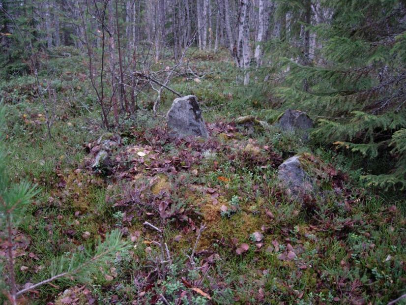Kulttuuriympäristöpalvelut Heiskanen & Luoto Oy Arkeologinen inventointi 55 4.21 Aaltokangas II [uusi] muu kohde* 4.21.1 Havainnot 7.10.