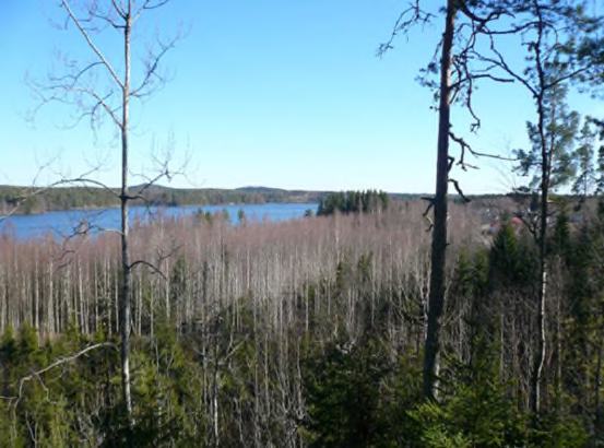 een jakaa maisemallisesti kapea peltokaistale, jonka länsipuolella on pääosin havupuuvaltaista metsää, sisältäen myös pienen korpirämealueen, peltoa ja kalliojyrkänteen.