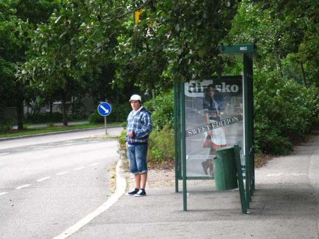 Kuva 47. Abraham Wetterintien varren bussipysäkin kohdalla matalalla roikkuva kasvillisuus peittää pysäkkimerkin, Roihuvuoren toimenpidekartan kohta 6. 8.