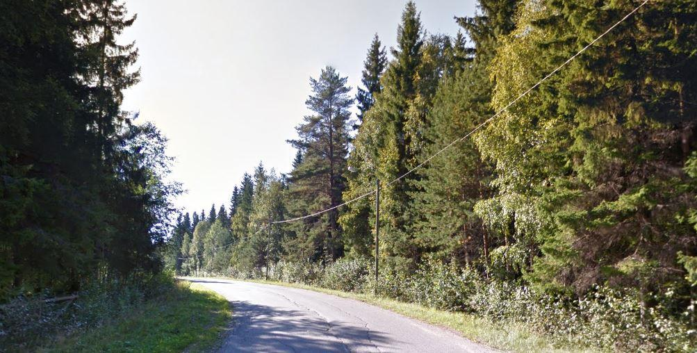 Savonlinnan kaupunki Tekninen toimiala 3.6.2016 Pääskylahden hautausmaa on kuvassa merkitty mustalla viivalla.