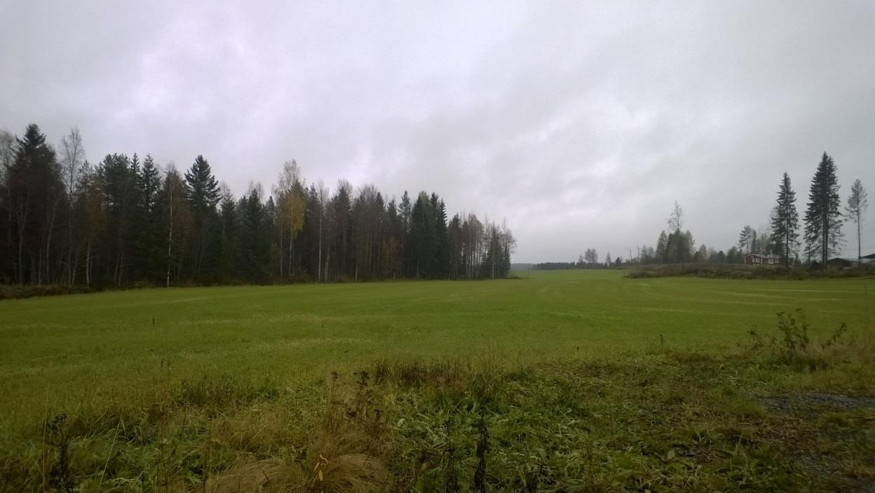 FCG SUUNNITTELU JA TEKNIIKKA OY Kaavaselostus, ehdotus 5 (16) 3 LÄHTÖKOHDAT 3.1 Selvitys suunnittelualueen oloista 3.1.1 Alueen yleiskuvaus Kaava-alue sijoittuu välittömästi rakennetun alueen yhteyteen.