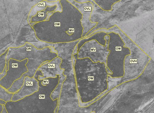 Natura2000-verkosto ja INSPIRE Need for access to: EU consolidated and approved data (cross-border issues) New (planned) N2K sites in Member States Need to have access to more detailed spatial data