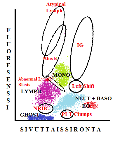 12 KUVIO 1. SYSMEX DIFF-kanava näyttää, missä kohdissa epänormaalit solupopulaatiot sijaitsevat. (Sysmex Europe 2012, 3, Muokattu) 4.