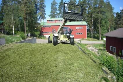 Säilörehun varastointi Pääosa säilörehusta varastoidaan laakasiiloissa (4 kpl) Näihin sopii valmista rehua n. 1,2 milj.