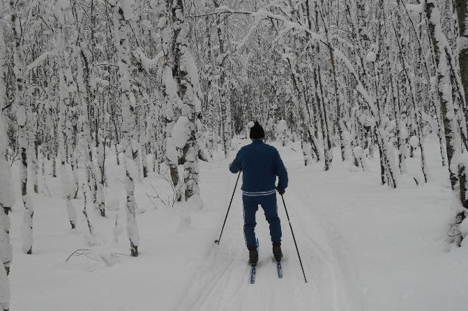 SUKELLA TALVEEN 4.2.2017 VILLIINNY KEVÄÄSTÄ 20.5.