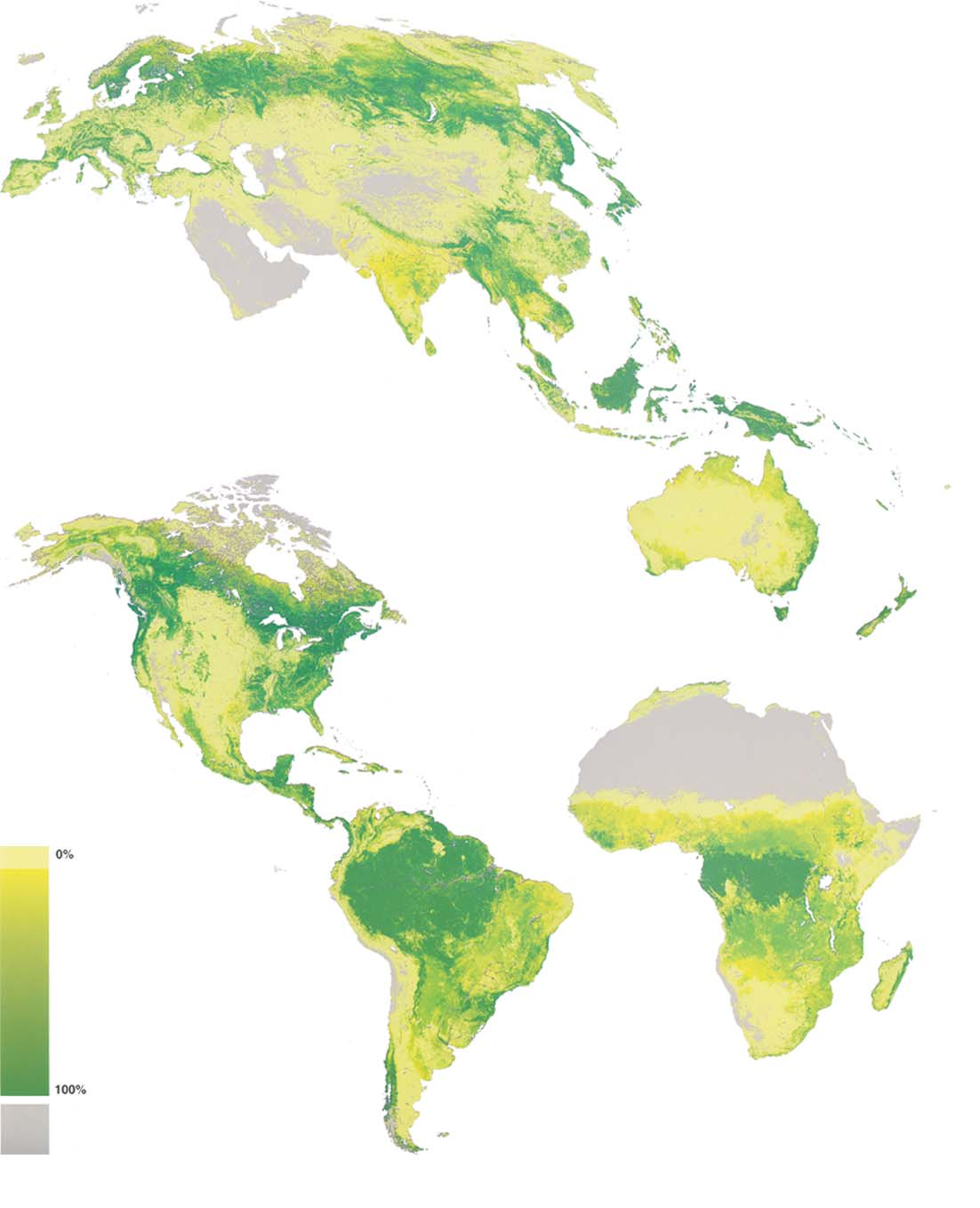 12 Kansainvälisiä metsätilastoja Metsäisyys Forest coverage Kasvipeitteetön Non-vegetated Lähde Source: DeFries, Hansen, Townshend,