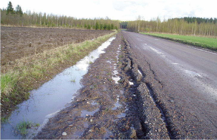 Kuivatussuunnittelu, erityisongelmia 17 Ojituskohde toukokuussa 2005, perkauksesta on kulunut vajaa vuosi.