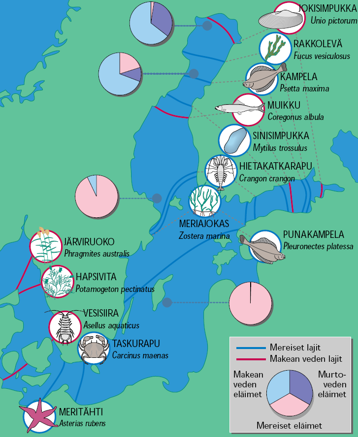 Lajien pohjoiset ja eteläiset