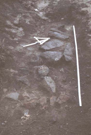 Kuva 9. Dia nro 125748: 7. Kivilatomus (R1) kuvattuna länsiluoteeseen. Kuvaaja: Marika Hyttinen, MV/RHO. Rakenteen kivien koko vaihteli 10 50 cm välillä ja paksuus n. 5-10 cm välillä.