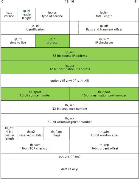 KUVA 7. IPv4 + TCP-paketti, five tuple -kentät väritettynä (Curtis 2010, 2-19.