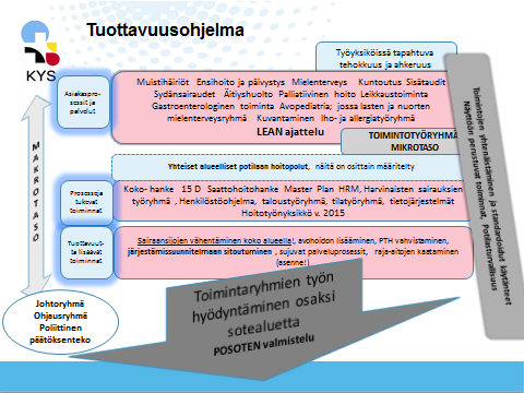 Pohjois-Savon sairaanhoitopiiri PÄIVITYSRAPORTTI 11 (30) Tuottavuusohjelman kokonaiskuva on tiivistetty kuvaan 1.