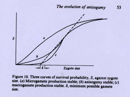 Yhteeveto Aisogamia / isogamia stabiilisuus riippuu tjakauma S(x) muodosta Löyhästi Kupera S(x): δ-