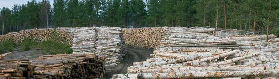 1 METSÄTEOLLISUUDEN ULKOMAANKAUPPA Puun tuonti paisui vuonna 24 ennätykselliseen 17,5 miljoonaan kuutiometriin määrän lisäännyttyä 5 prosentilla edellisvuodesta.