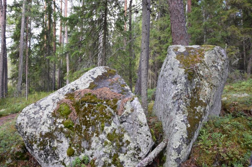 Mitä asennetutkimus kertoo kaivosalalle?