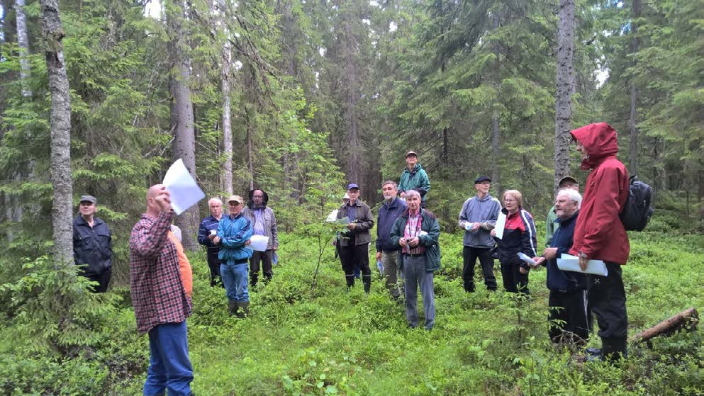 Tiedonvälitystilaisuuksia Etelä-Savossa Monimuotoiset metsät hankkeen ensimmäinen tilaisuus oli Mikkelissä 17.6.2016, ja se keräsi noin 23 kiinnostunutta metsänomistajaa.