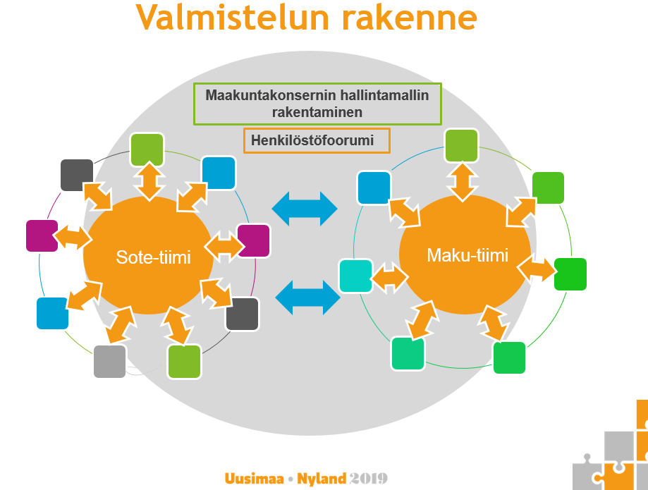 Esiselvitysvaihe keskittyy tehtäviä ja henkilökuntaa luovuttavien organisaatioiden sisäiseen tarkasteluun. Esivaiheessa valmisteluryhmien tehtävänä on mm.