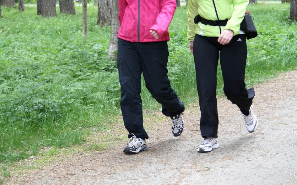 6. Yhteenveto Raportissa tiedot on esitetty pääsääntöisesti koko kuntayhtymän tasolla. Tiedot on kerätty henkilöstö- ja palkkahallinnon tietojärjestelmistä.