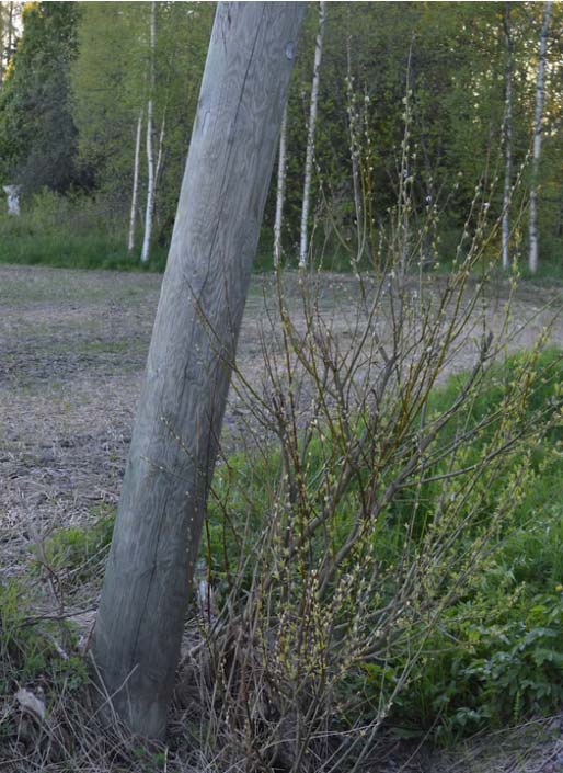 Harjoitus 4 Kysymys: Olet työmaalla pylvään juurella johon sinun pitäisi kiivetä.