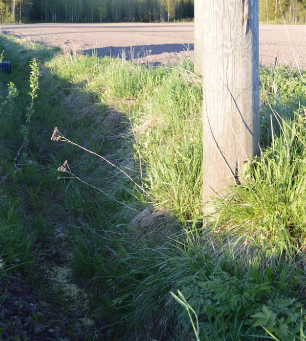 Harjoitus 6 Kysymys: Latvarakenne ja pylväs vaikuttavat kunnossa olevilta. Myös upotussyvyyttä on riittävästi.