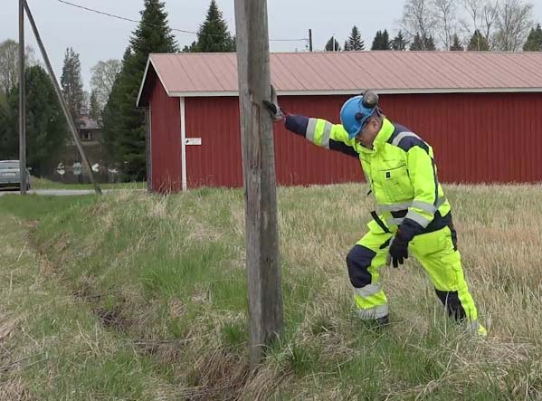 Harjoitus 6 Perustelu: Oikea vastaus on vaihtoehto a) Pylvään heiluttaminen ennen kiipeämistä antaa osviittaa pylvään