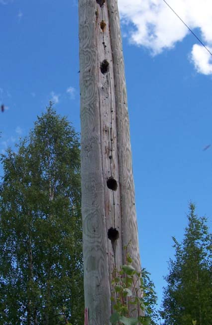 Harjoitus 3 Kysymys: Olet työmaalla pylvään juurella johon sinun pitäisi kiivetä.