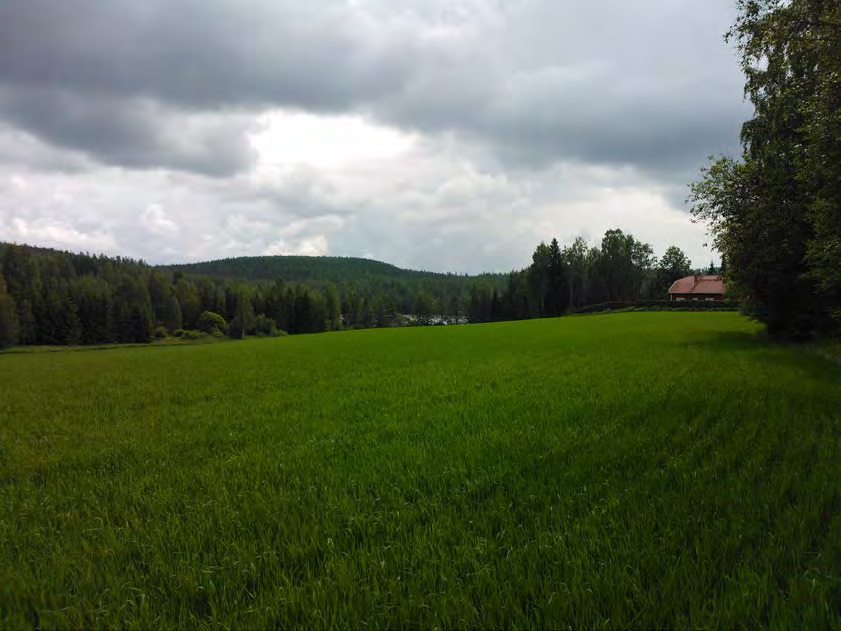 Maisemaselvitys Leppälahden osayleiskaava
