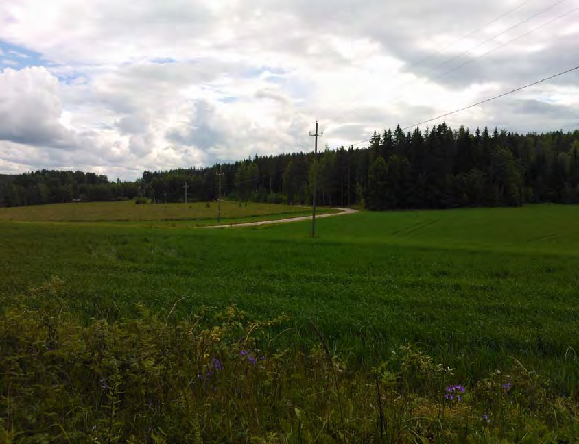 26 27 Tilarakenne Maisematilalla tarkoitetaan rajattua, nähtävää tilaa, jonka koko vaihtelee ympäröivien tilaa rajaavien elementtien perusteella (Iisakkila 1977).