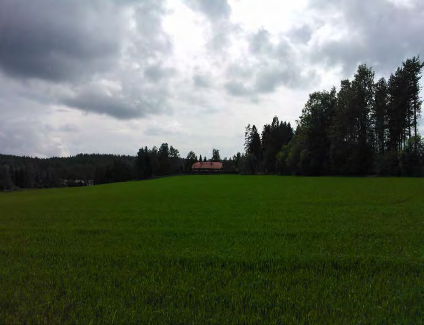 28 29 Johtopäätökset Leppälahti on monin tavoin tyypillinen esimerkki keskisuomalaisesta maalaismaisemasta.