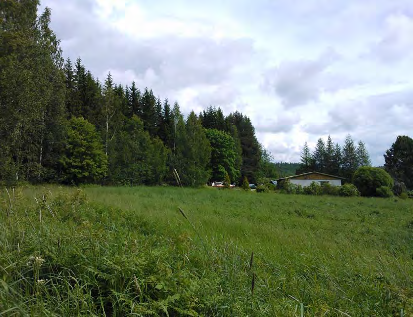 4 5 Johdanto Tämä maisemaselvitys on laadittu tausta-aineistoksi ja jatkotyöskentelyn avuksi Jyväskylän kaupungin Leppälahden osayleiskaavaa varten.