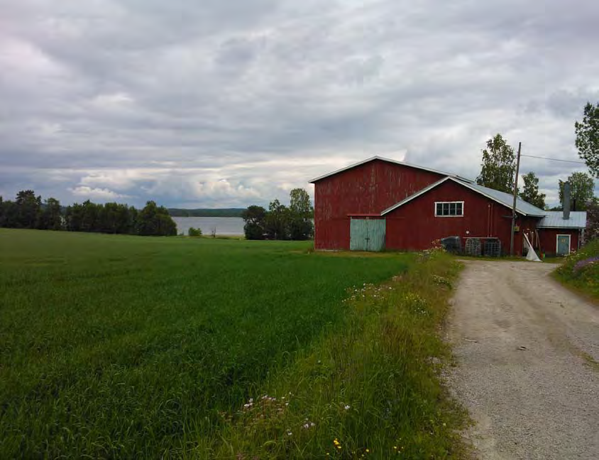 6 7 Leppälahti alueena Leppälahti on itäisessä Jyväskylässä, entisessä Jyväskylän maalaiskunnassa, sijaitseva n. 65 asukkaan kylä. Kylän taajama sijaitsee Jyväskylän keskustasta 15 km itään.