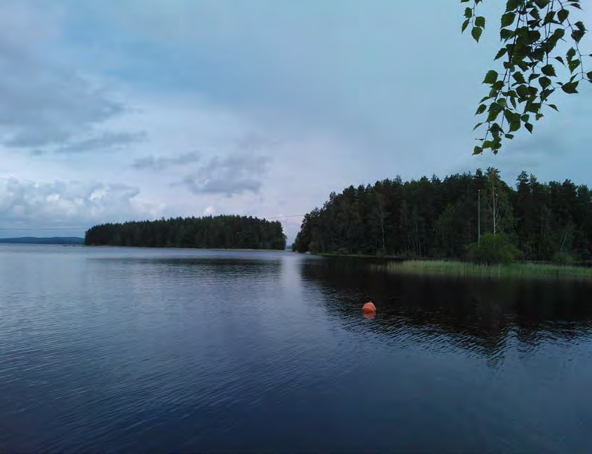 8 9 Suurmaisema Jyväskylä sijaitsee ympäristöministeriön maisemamaakuntajaottelussa Hämeen järvi- ja viljelymaan sekä Itäisen Järvi-Suomen maisemamaakuntien rajalla (Vallinkoski 213).