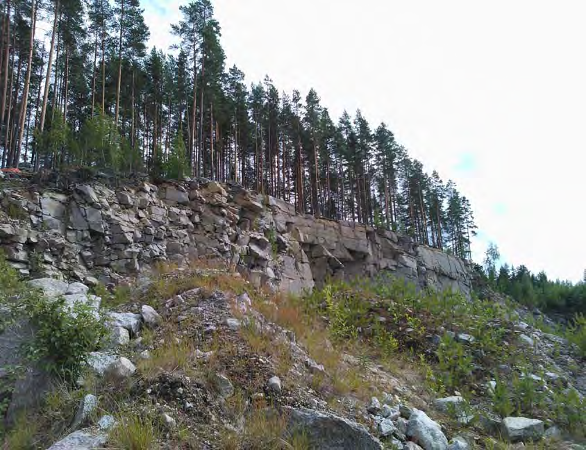 12 Korkeus merenpinnasta 13 Topografia Leppälahden maastolle ominaista ovat tiheästi vaihtelevat pienen mittakaavan korkeuserot.