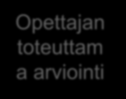 Miten opettaja havainnoi, kerää ja dokumentoi arviointitietoa? Millaiseen vuorovaikutukseen arviointi perustuu? Miten omaa toimintaa suunnataan oppilaan oppimisen edistämiseksi ja tukemiseksi?