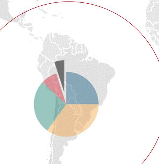 Etelä-Amerikka Vanerintuotanto ja -kulutus Etelä-Amerikassa 2009 (1 000 m 3 ) Vanerintuotanto 4 540 Vanerinkulutus 2 148 Etelä-Amerikka Yksi suurimmista vanerintuotannon kasvualueista Kasvaa ja