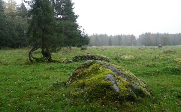 Kuva 15. Jokelan laidunhaka (kohde 43). Kuva 16.