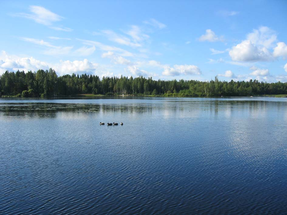 Rietajärvi on erittäin ruskeavetinen järvi. Väriarvot olivat talvella 400 mg/l Pt ja kesällä 200 mg/l Pt. Kokonaistypen arvot ovat myös normaalit erittäin ruskeavetiselle järvelle.