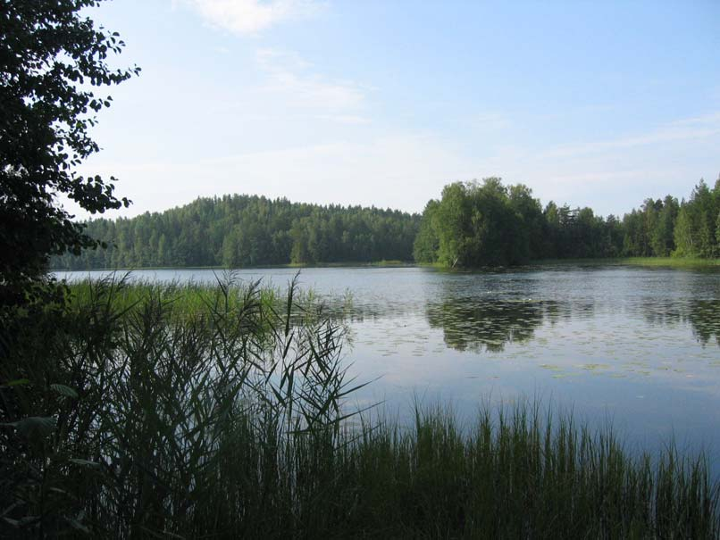 2. Hattula Hattulassa on yli 55 järveä ja lampea. Näytteet otettiin kuitenkin vain Takajärven pohjoispuolella sijaitsevasta Mustalammista.