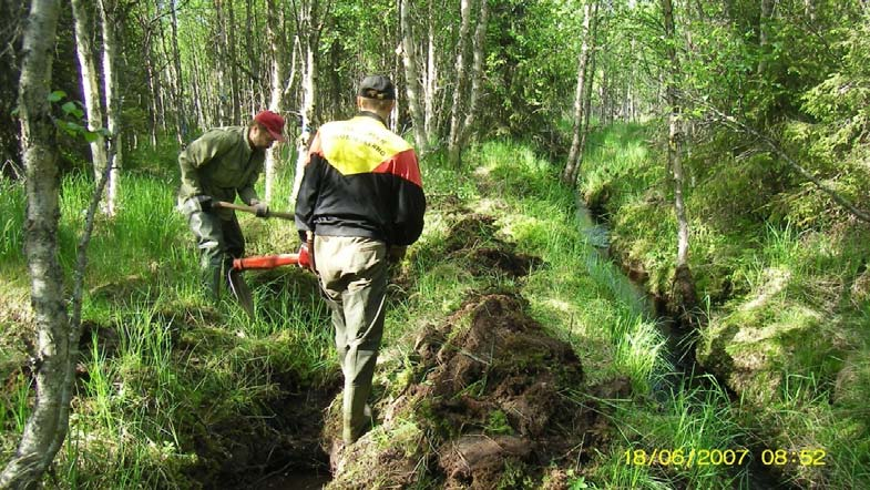 Iijoen vesistön kunnostukset puroilla ja niiden valuma alueilla 1999 2014 Purot Purojen Kunnostus- Kunnostetun Kustan- Kustan- Pintavalu- Laskeutus- Metsäojien Suon enpituus alueen pituus alueen