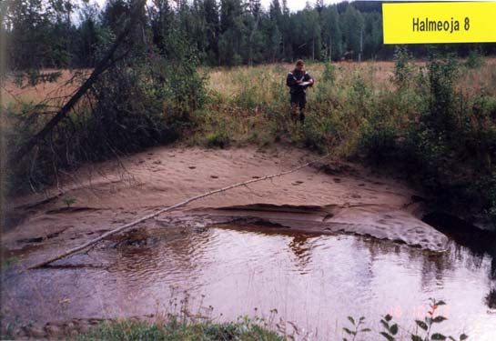 Puroinventoinnit Iijoen vesistöalueella 1998 2013 Puro- Luonnontilaisia Kunnostusesityksiä Puroja Puroja jaksoja purojaksoja purojaksoille km n n n % n % 1660 444 4156 1060 26 1815 44