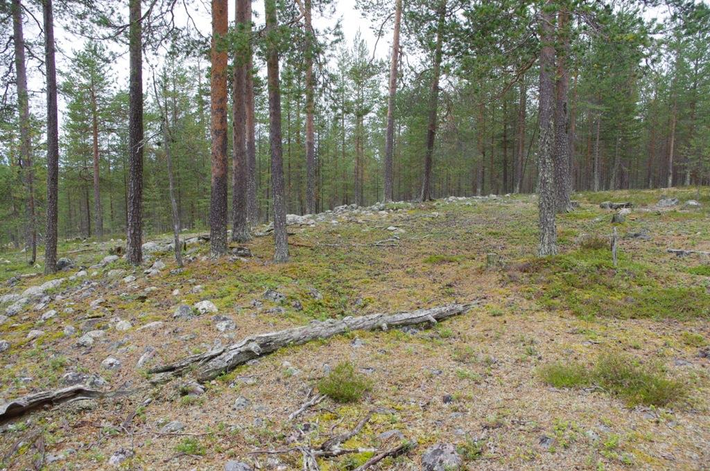 12 Välimaa-Liinankivaara Pohjavesialuenumero: 12976147 Muu pohjavesialue Arvoluokka: 4 Sijainti: Ylitornion keskustasta 53 km ENE, Meltosjärven kylältä 5 km NE Liinankivaaran etelärinteellä on varsin