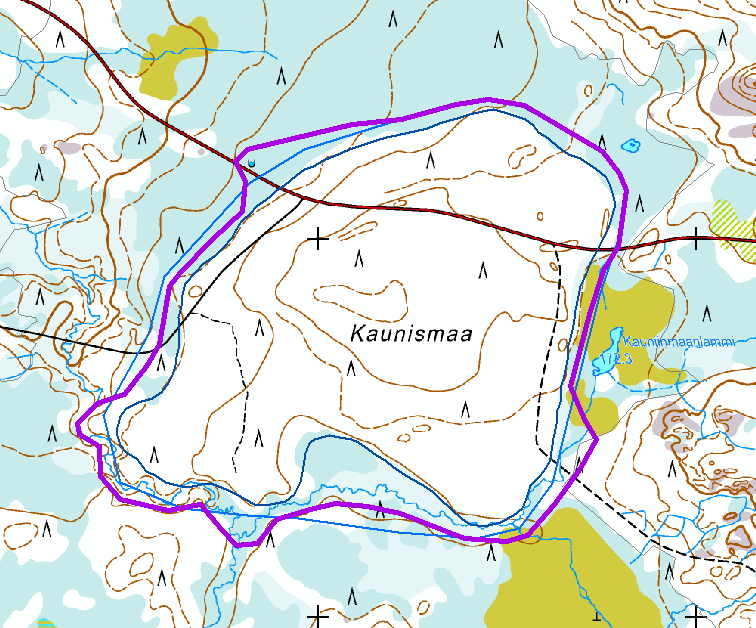 21 keloineen. Karulle kankaalle ominaisesti puusto on harvaa ja matalaa. Luoteispuolella suolla on lähde. Kaunismaa kuuluu Mustiaapa-Kaattasjärven Natura-alueeseen.