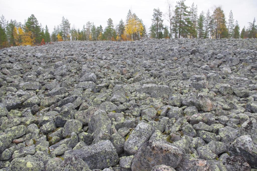 23 Puonivaara Pohjavesialuenumero: 12976125 Muu pohjavesialue Arvoluokka: 4 Sijainti: Ylitornion keskustasta 19,5 km itäkoilliseen, Aavasaksan kylältä noin 16 km itään.