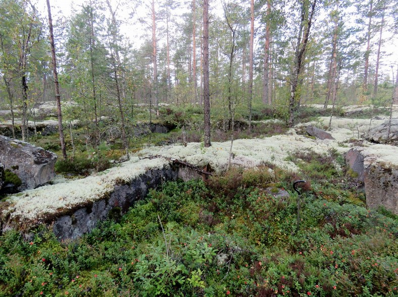 17 4. Suolinevakalliot 2 Mj-rekisteri: Laji: Mj-tyyppi: Tyypin tarkenne: Ajoitus yleinen: Ajoitustarkenne: Lukumäärä: Rauhoitusluokkaehdotus: Paikkatiedot: Karttanumero: Koordinaatit: Kohteen rajaus: