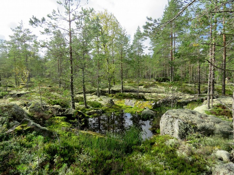 18 Louhos 1, porausreikä kalliossa.