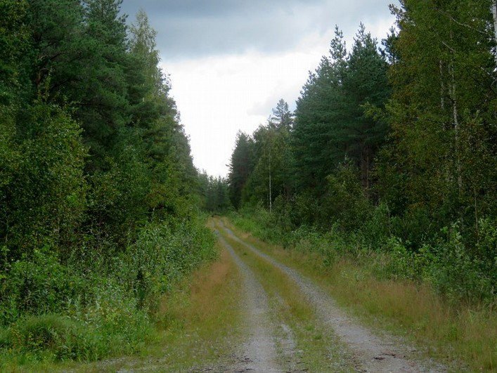 8 Kuva 2. Suolinevan turvetuotantoalue kuvattu tieltä etelään.