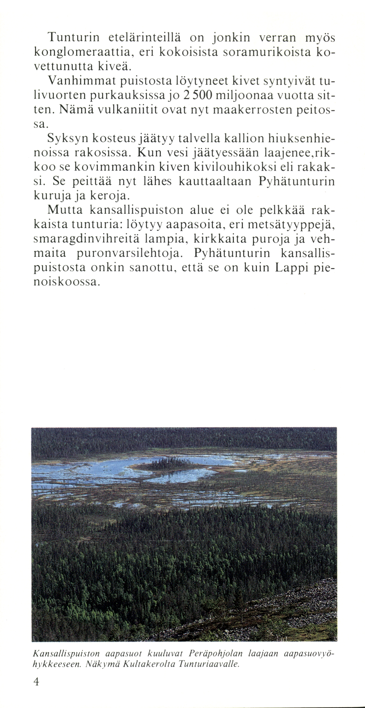 Tunturin etelärinteillä kglomeraattia, vettunutta myös verran soramurikoista ko puistosta löytyneet kivet syntyivät purkauksissa jo Nämä vulkaniitit ten. jkin kokoisista kiveä.