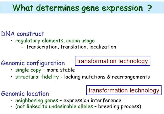 Geenin vienti esivalittuun paikkaan kromosomissa rekombinaatiosysteemin avulla (Cre/Iox, FLP/FRT ym) 1.
