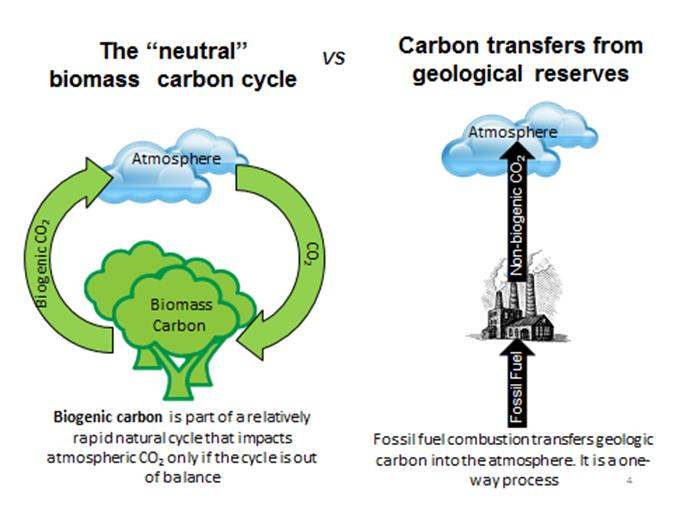 Metsien käytön kasvihuonekaasupäästöjen ilmastovaikutukset Metsäpohjainen CO2 VS fossiilinen CO2 Kuvan