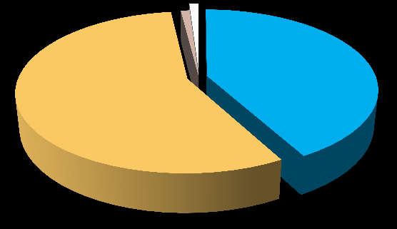 VASTAAJAN SYNTYMÄVUOSI (N=565) 30,77 % 7,69 % Otanta 61,54 % -1930 1931-1950 1951-1970 1971-1990 1991- En halua kertoa 0 100 200 300 7 232 176 142 4 4 vuosijäseniä eläkeläisjäseniä opiskelijoita 1 %